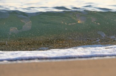 Dalgalar deniz kıyısı makrosu sıçratıyor. Yaklaş.