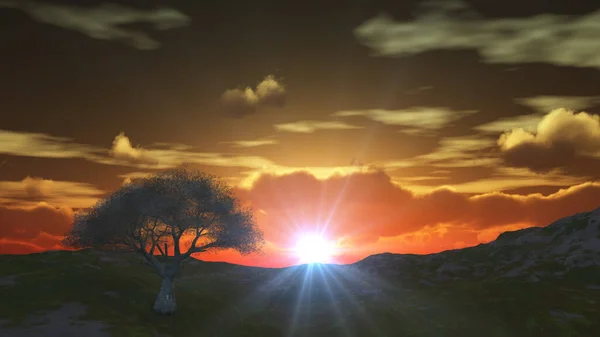 sunset at meadow and lonely tree, 3d render illustration