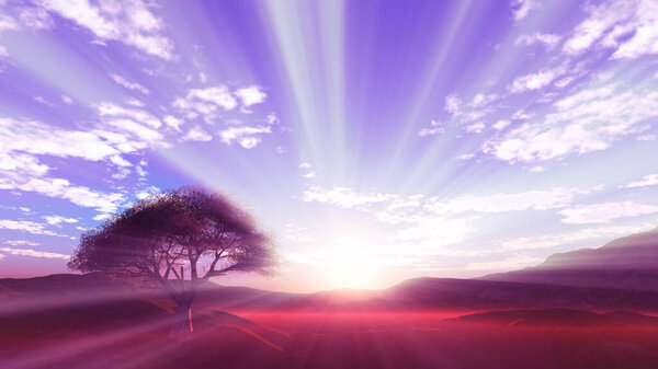 sunset at meadow and lonely tree, 3d render illustration