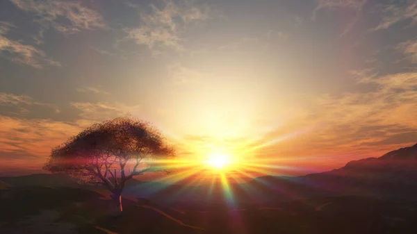 Západ Slunce Louce Osamělý Strom Vykreslení Ilustrace — Stock fotografie
