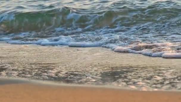 Пляжна хвиля макро повільний рух — стокове відео