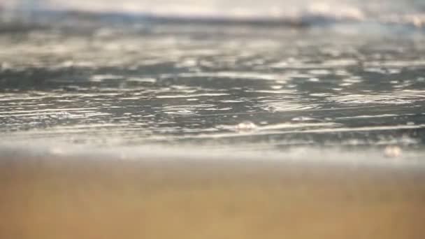 Beach wave macro slow motion — Stock Video