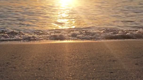 Strand hullám fröccsenő makró naplementében — Stock videók