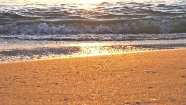 Beach wave splashing macro in sunset — Stock Video