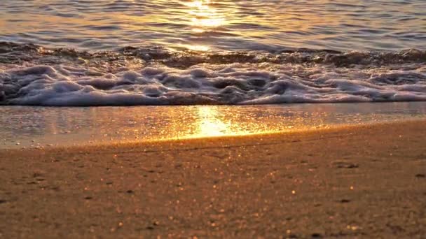 Strandwelle plantscht Makro im Sonnenuntergang — Stockvideo