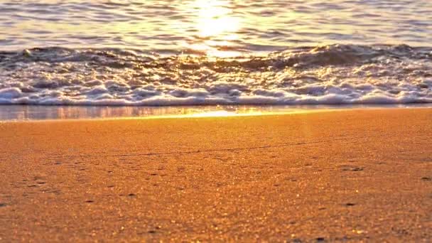 Beach wave splashing macro in sunset — Stock Video