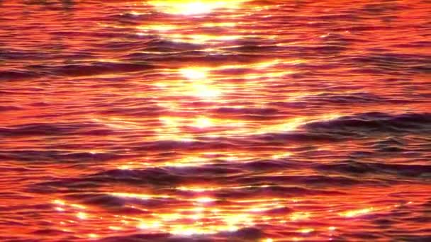 Схід сонця золоте море повільний рух — стокове відео