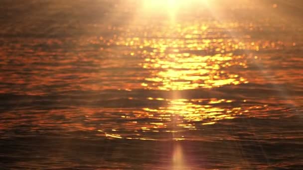 Sunrise golden sea slow motion — Stock Video