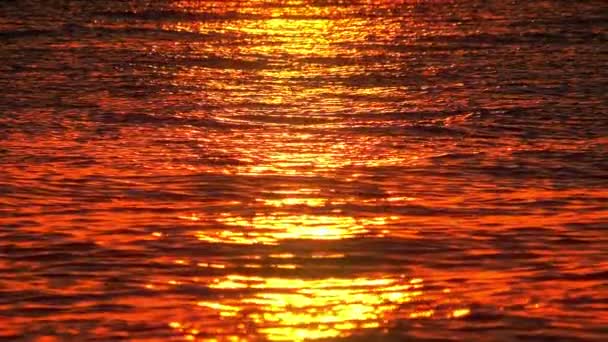 Sonnenaufgang goldenes Meer Zeitlupe — Stockvideo