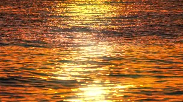 Sonnenaufgang goldenes Meer Zeitlupe — Stockvideo