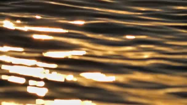 Sunrise golden sea slow motion — Stock Video