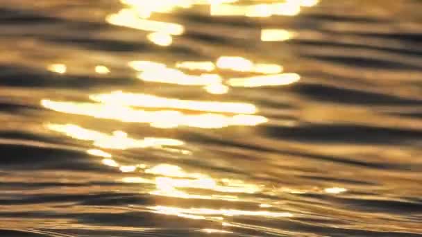 일출 황금빛 바다 속느린 움직임 — 비디오