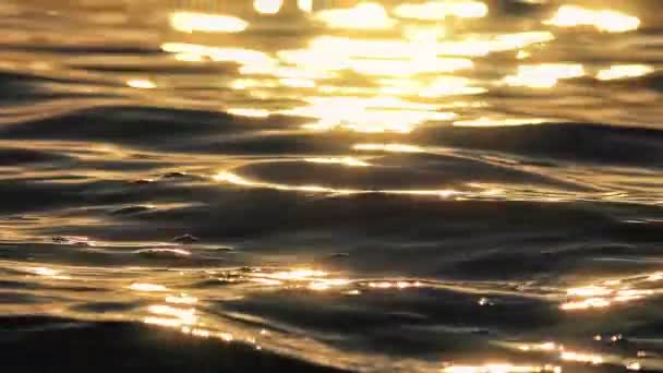 Sunrise golden sea slow motion — Stock Video