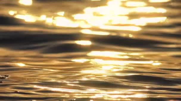 Nascer do sol mar dourado câmera lenta — Vídeo de Stock