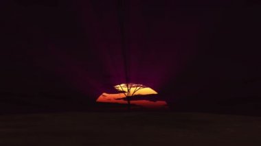 Afrika 'da güneş doğuyor.