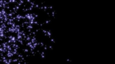 Karahindiba tohumu uzayda uçar