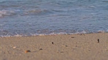 Sahil dalgası makro ağır çekim 4k