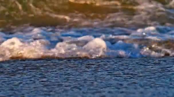 Пляжна хвиля макро повільний рух 4k — стокове відео