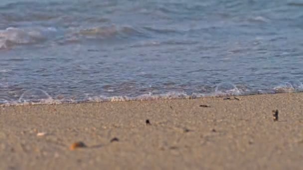 Ola de playa macro cámara lenta 4k — Vídeos de Stock