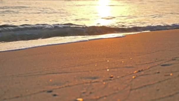 Strand hullám fröccsenő makró naplementében 4k — Stock videók