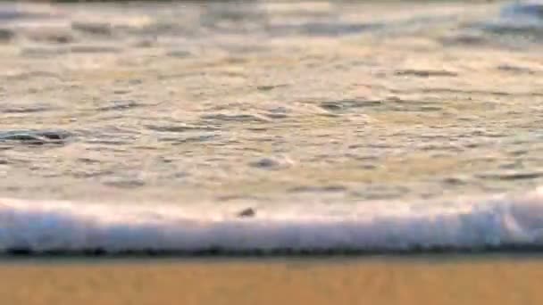 Spiaggia onda spruzzi macro al tramonto 4k — Video Stock