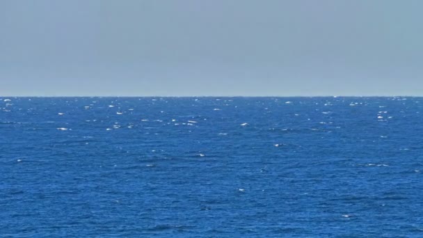 Mar azul horizonte infinito 4k — Vídeo de Stock