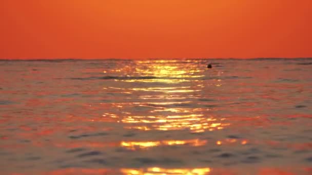 Napkelte arany tenger lassú mozgás 4k — Stock videók