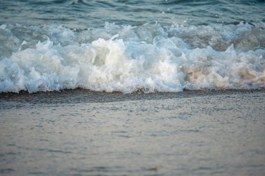 Dalgalar deniz kıyısı makrosu sıçratıyor. Yaklaş.