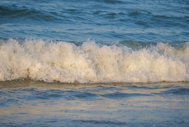 Dalgalar deniz kıyısı makrosu sıçratıyor. Yaklaş.