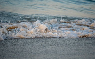 Dalgalar deniz kıyısı makrosu sıçratıyor. Yaklaş.