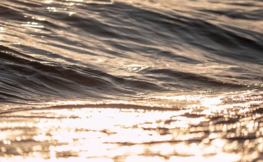 Dalgalar deniz kıyısı makrosu sıçratıyor. Yaklaş.