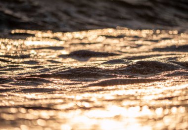 Dalgalar deniz kıyısı makrosu sıçratıyor. Yaklaş.