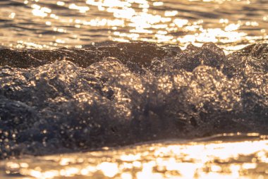 Dalgalar deniz kıyısı makrosu sıçratıyor. Yaklaş.