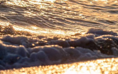 Dalgalar deniz kıyısı makrosu sıçratıyor. Yaklaş.
