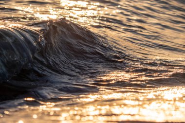 Dalgalar deniz kıyısı makrosu sıçratıyor. Yaklaş.