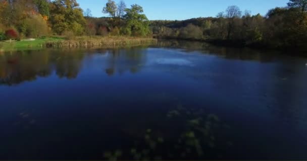 空中。リトアニアの晴れた秋の日に白鳥とアヒル湖上空をスムーズ (4 k 映像) — ストック動画