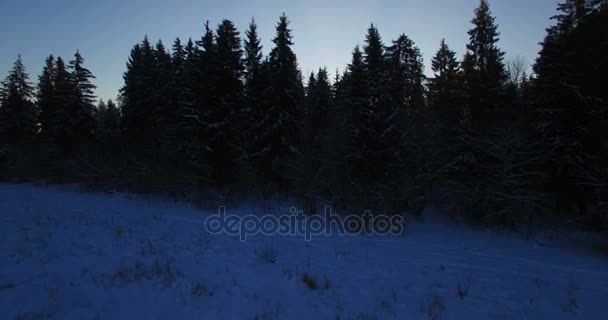 AERIAL. Hermoso vuelo suave dron a través y por encima de los abetos cubiertos de nieve en la mañana soleada temprano. Salida del sol (rayo de sol y destello de lente) en el bosque de invierno de Europa. 4k — Vídeo de stock