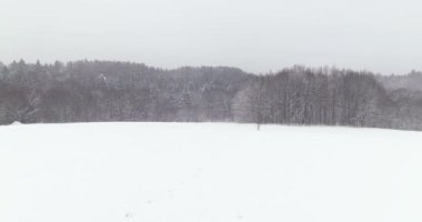 Hava. İle örtüsünü açmak atış alanını seçin ve sis kar kış orman ağaçları kapsadığı. 4 k. mükemmel açılış sahnesi (metin için yer için)