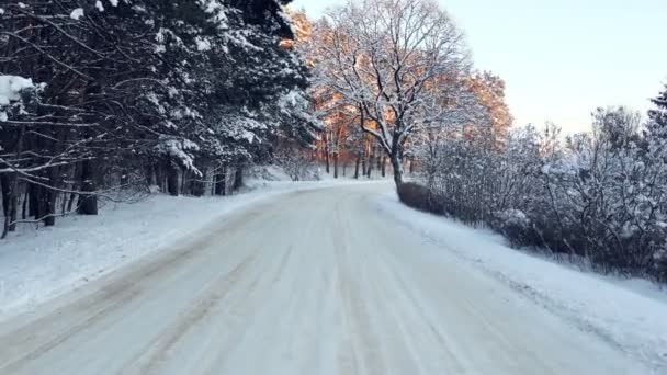 Reibungslose Fahrt auf der verschneiten Waldstraße im kalten Winter. Sonnenuntergang in Litauen, Gudasiai. 4k — Stockvideo