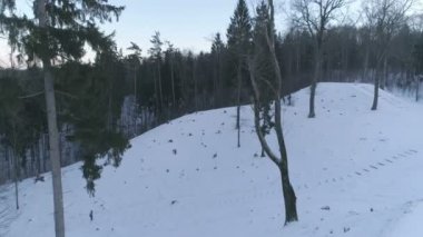 Hava. Uzun boylu ağaçlar Naujoji Vilnia karlı Rokantiskiu kaleler sitesi hill Vilnius, Litvanya üzerinde soğuk kış ormandaki tarafından örtüsünü açmak shot kaplı. 4k