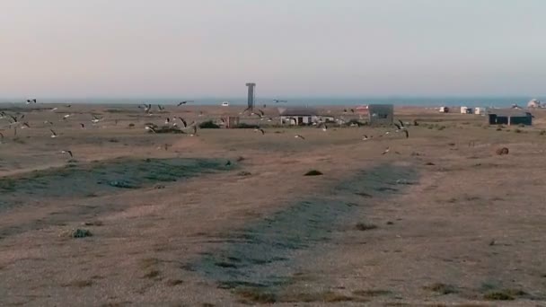 AEREALE. Bellissimo filmato di droni al tramonto al rallentatore di uccelli (gabbiani) che volano sopra il villaggio di Dungeness nel Kent, Inghilterra. HD — Video Stock