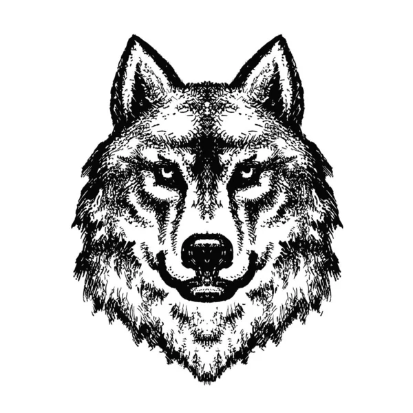 Wolf Head Logo Detailed Ink Drawing — ストックベクタ