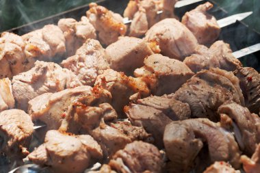 İştah açıcı şiş kebap closeup ızgara 