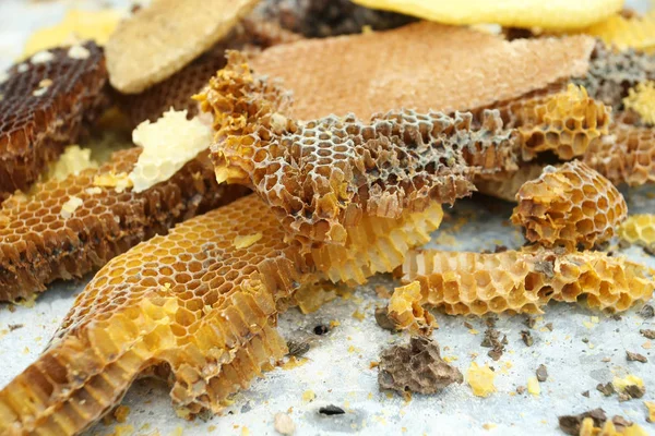 Favi d'api, cera, primo piano — Foto Stock