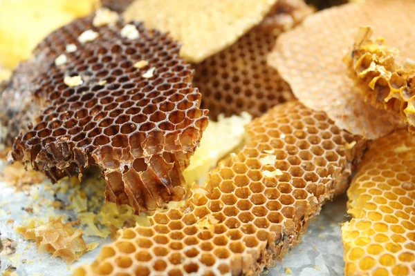 Bienenwaben, Wachs, Nahaufnahme — Stockfoto