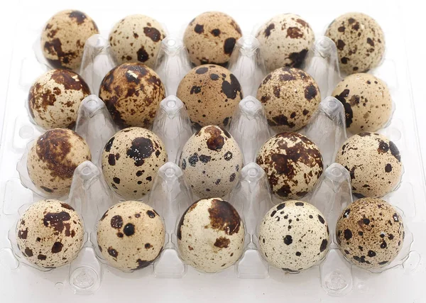 Перепелині яйця в пластиковому лотку на білому тлі — стокове фото