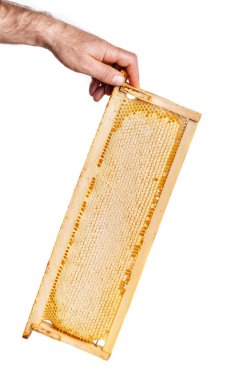 Beyaz arka planda ahşap çerçeveli bal kesiciyi ayır.