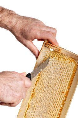 Beyaz arka planda ahşap çerçeveli bal kesiciyi ayır.