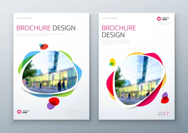 Brochures templates layout design — Stock Vector