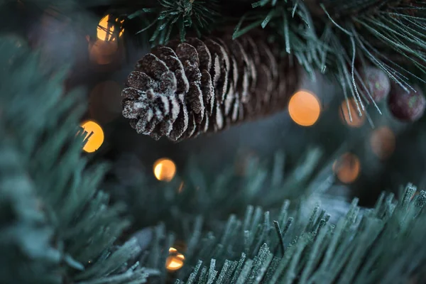 Köknar koni - Noel özniteliği